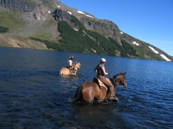 Reiten Im NationalPark Villarrica, Chile